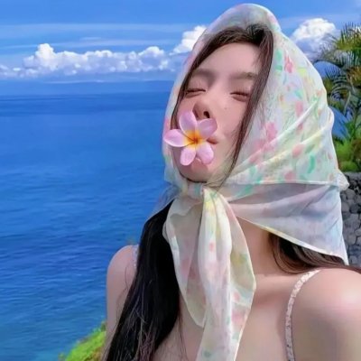 花盆封面